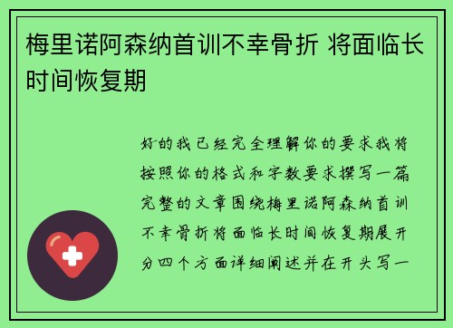 梅里诺阿森纳首训不幸骨折 将面临长时间恢复期 梅里诺阿森纳首训不幸骨折 将面临长时间恢复期